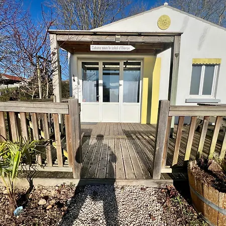 Au Bord Du - Les Jardins De - Parc Jeux Tennis Nature - Ideal Famille *